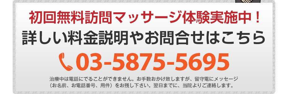 初回無料訪問マッサージ体験実施中!詳しい料金説明やお問合せはこちら03-5875-5695